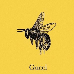 Meet your Posher, Lee